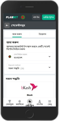 বুকমেকারের পেমেন্ট সিস্টেম পৃষ্ঠার স্ক্রিনশট