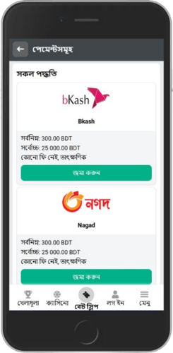 বুকমেকারের পেমেন্ট সিস্টেম পৃষ্ঠার স্ক্রিনশট