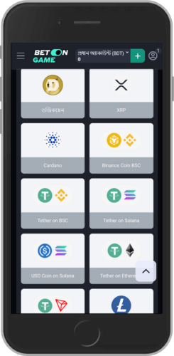 BetOnGame পেমেন্ট পদ্ধতিসমূহ