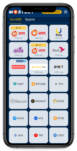 পেমেন্ট পৃষ্ঠার ছবি